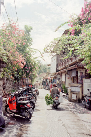 Ubud auf Bali, Indonesien (2016)